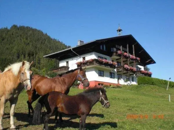 Huberhof - Général