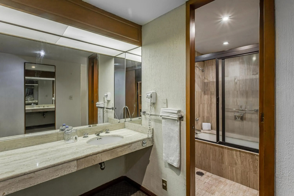 Hotel Imperial Reforma - Général