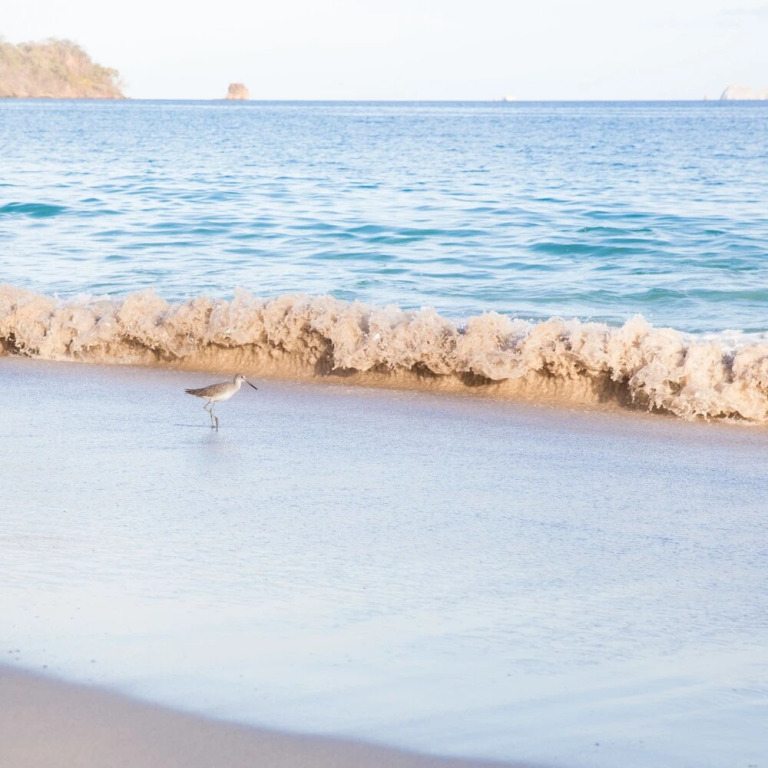 Reserva Conchal - фото 22