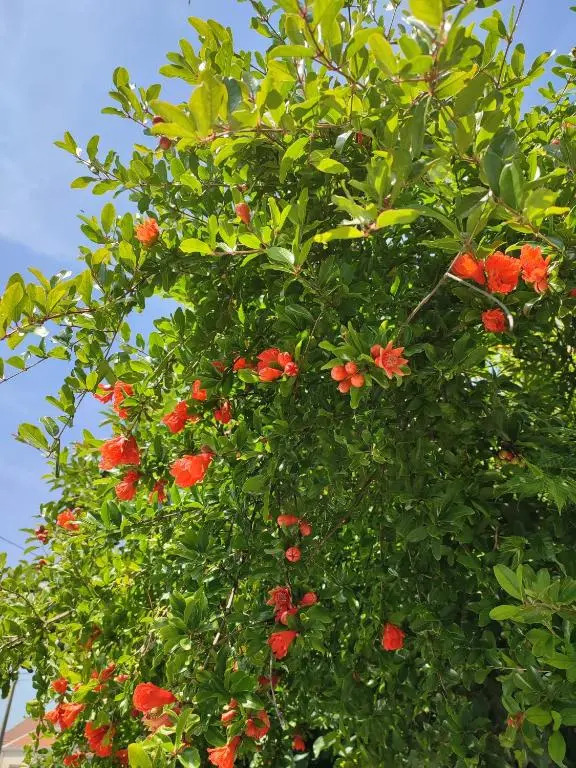 Logement calme et ensoleillé dans maison de ville — фото 5