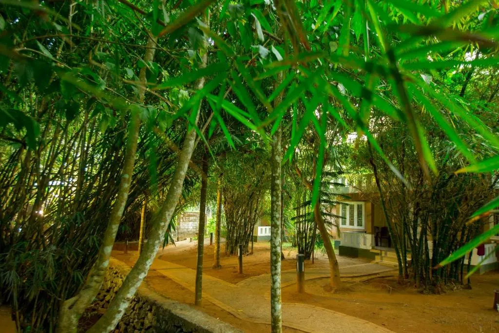Lakkidi Village Resort - Chambres