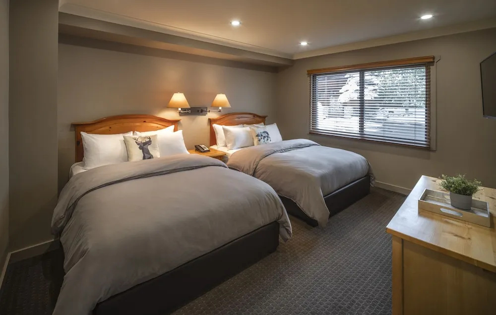 Buffalo Mountain Lodge - Chambres