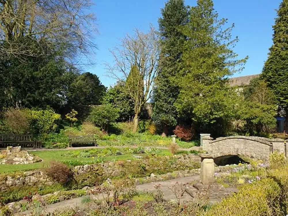 Image 11