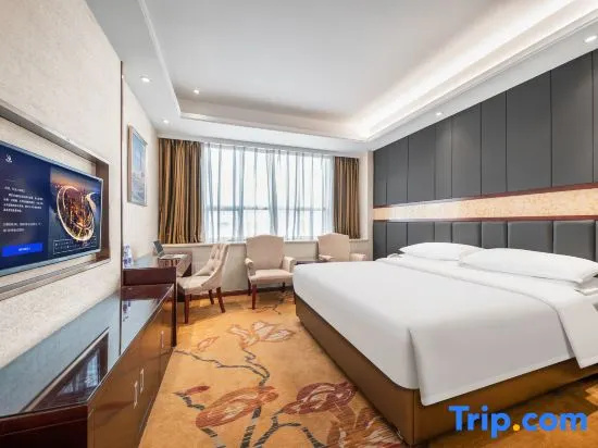Vienna Classic Hotel (Dongguan Tangxia Avenue) - Chambres