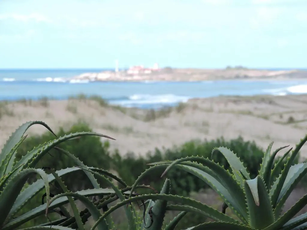 El Mirador - Chambres
