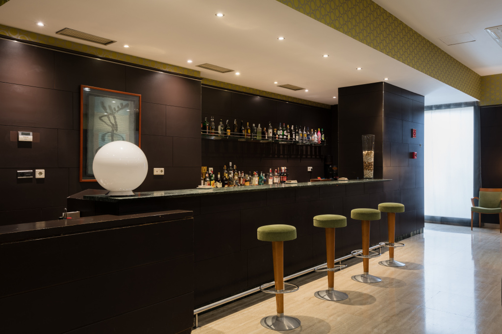 Hotel Ciudad de Valladolid - Général