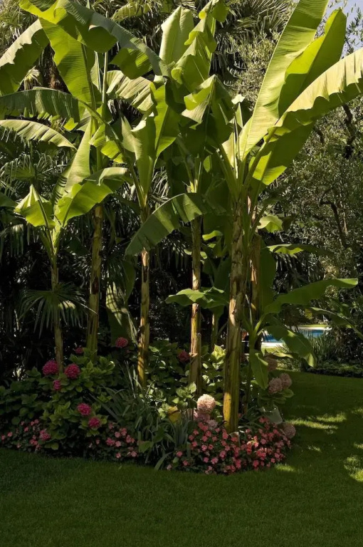 Quattro Stagioni Hotel & Spa - Général
