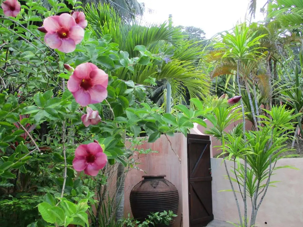 Chalets Bougainville - Chambres
