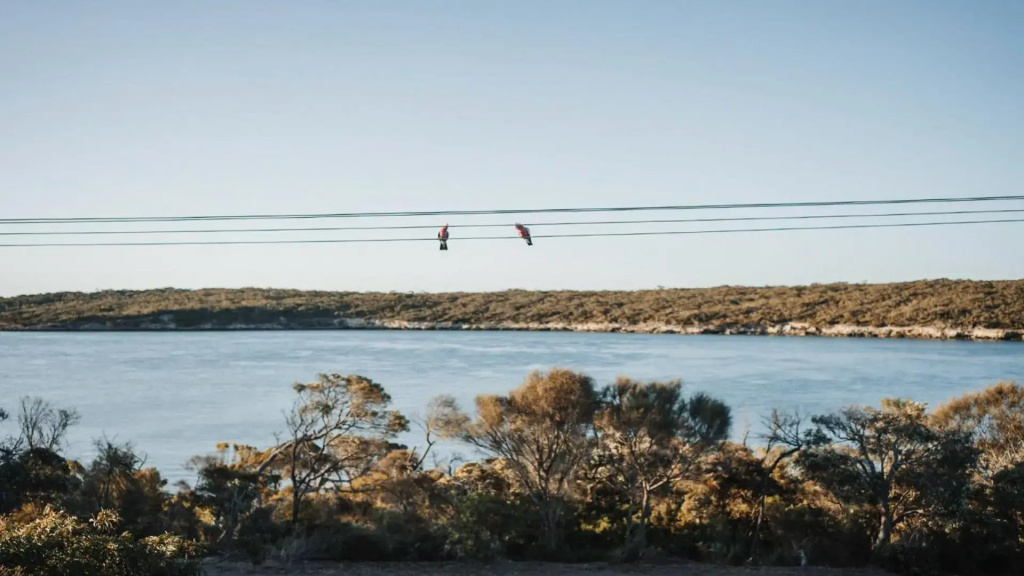 Dusk Coffin Bay