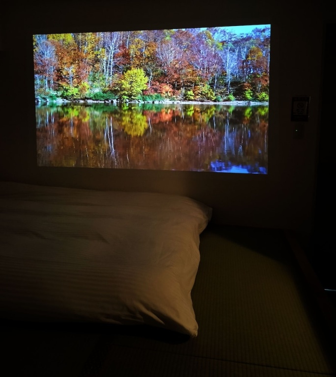 Hotel Belle Via Tokyo 사진 6