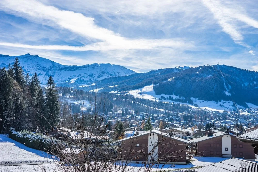 Luxury Apartment in Megeve