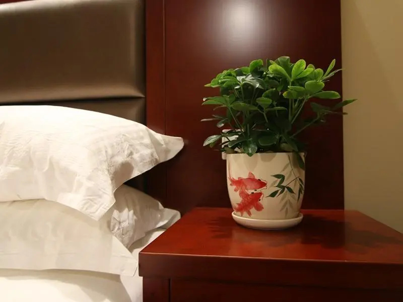GreenTree Inn ChaoHu Tianchao Plaza Express Hotel - Chambres