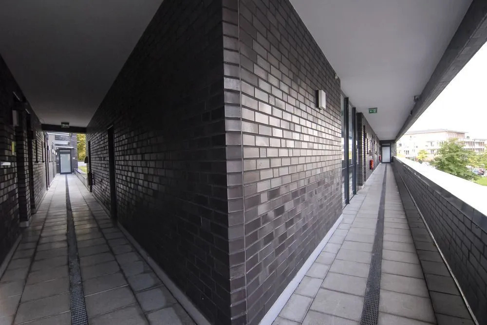 Image 21
