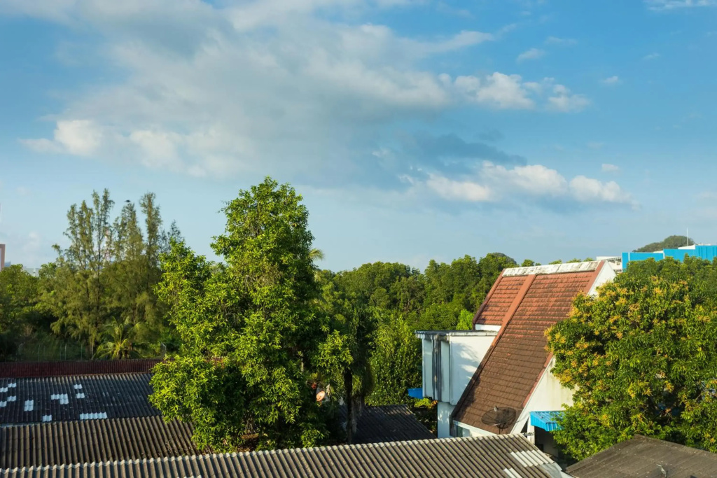 Hotel photo 27