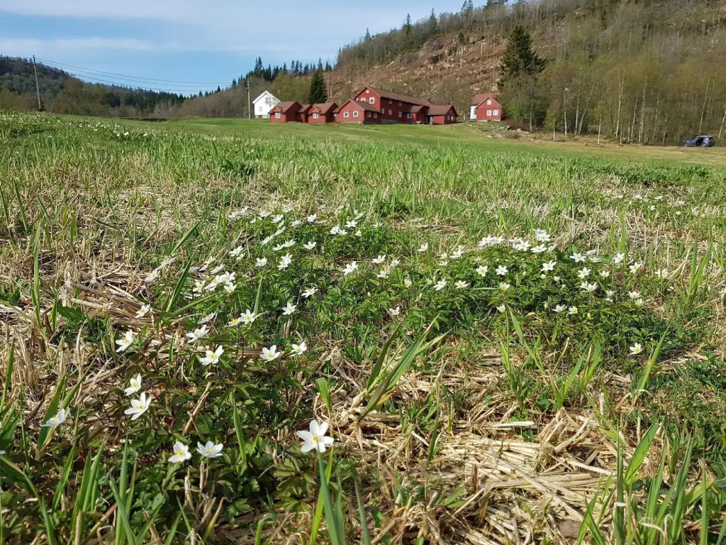 Heddan Gard Gjestegard