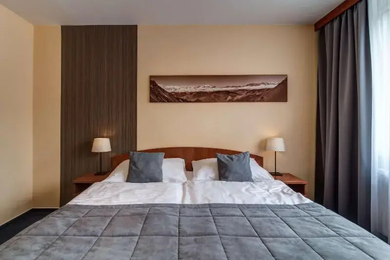 BEST WESTERN Hotel Vista - Chambres