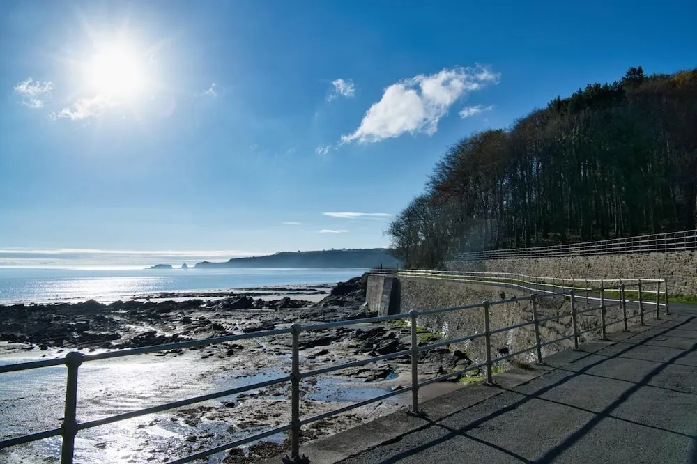 Puffin Lodge - 2 Bedroom Lodge - Wisemans Bridge