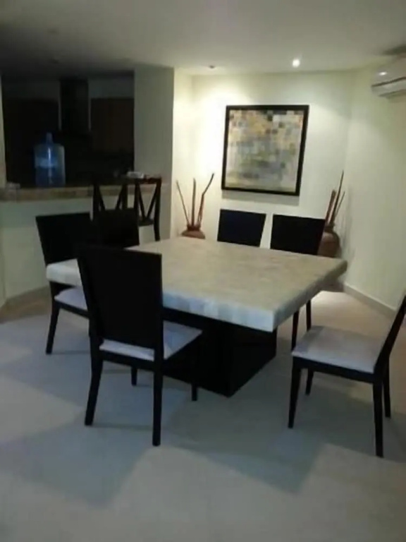 Palmetto Ixtapa 313 - Général