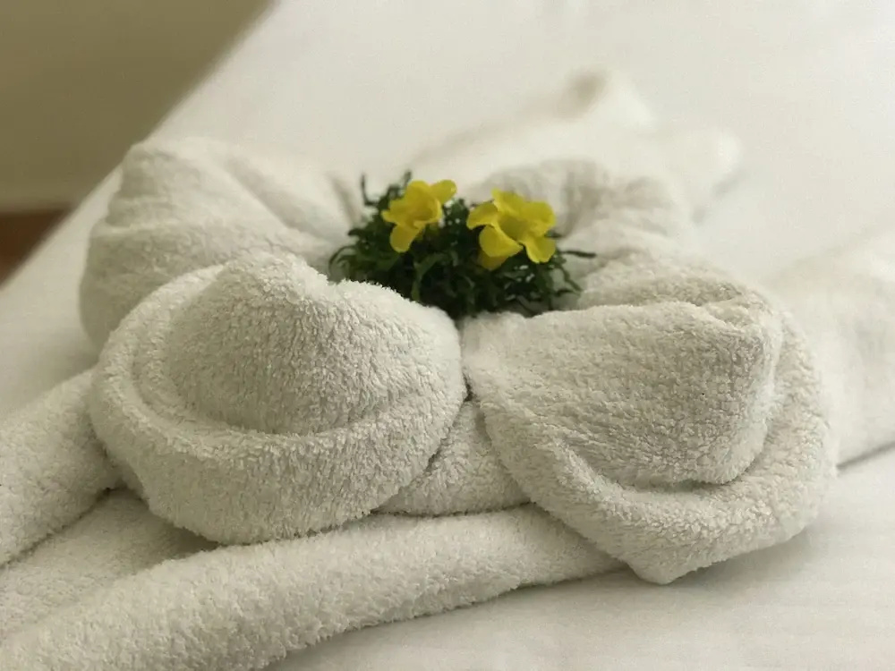 Daffodils Spice Court - Chambres