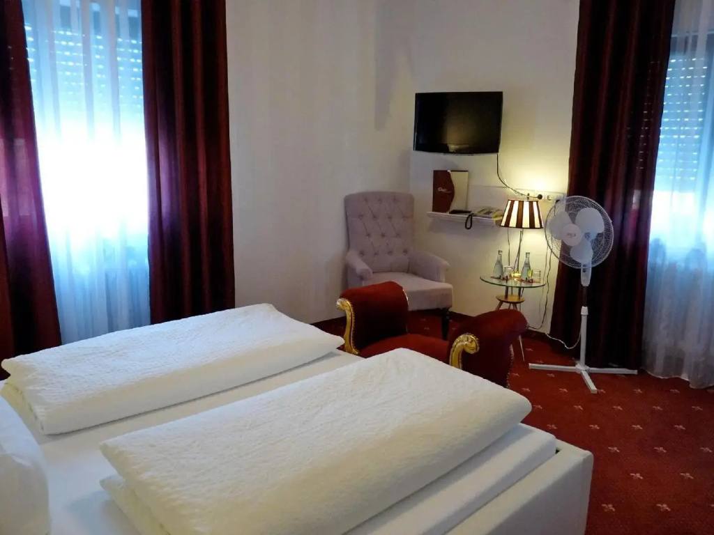 Hotel Geissler - Général