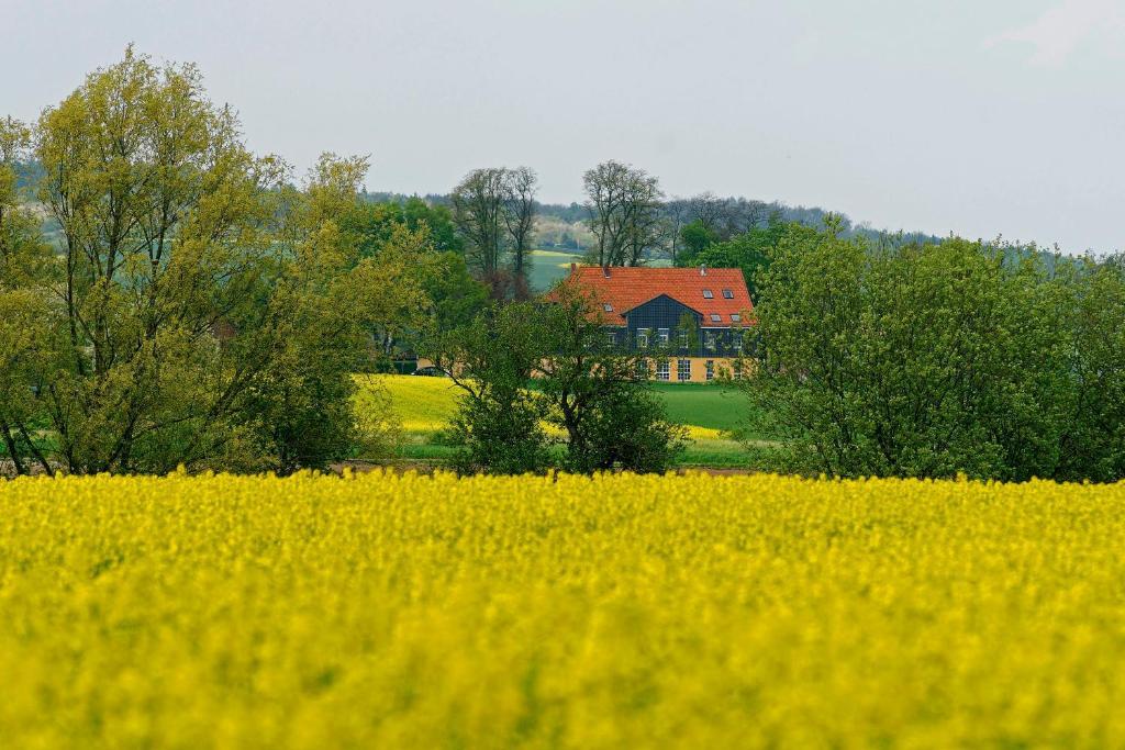 Image 12