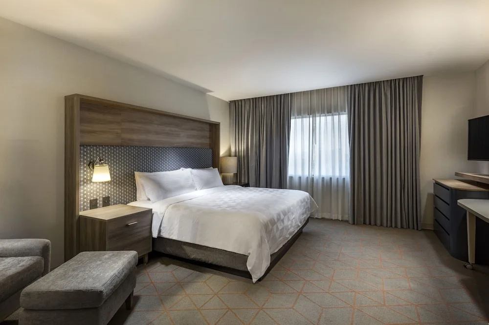 1 Bedroom Suite