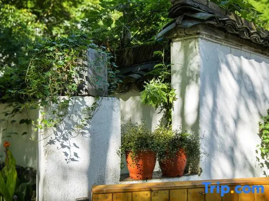 Anji Jinyi · Shijian Streamy Homestay