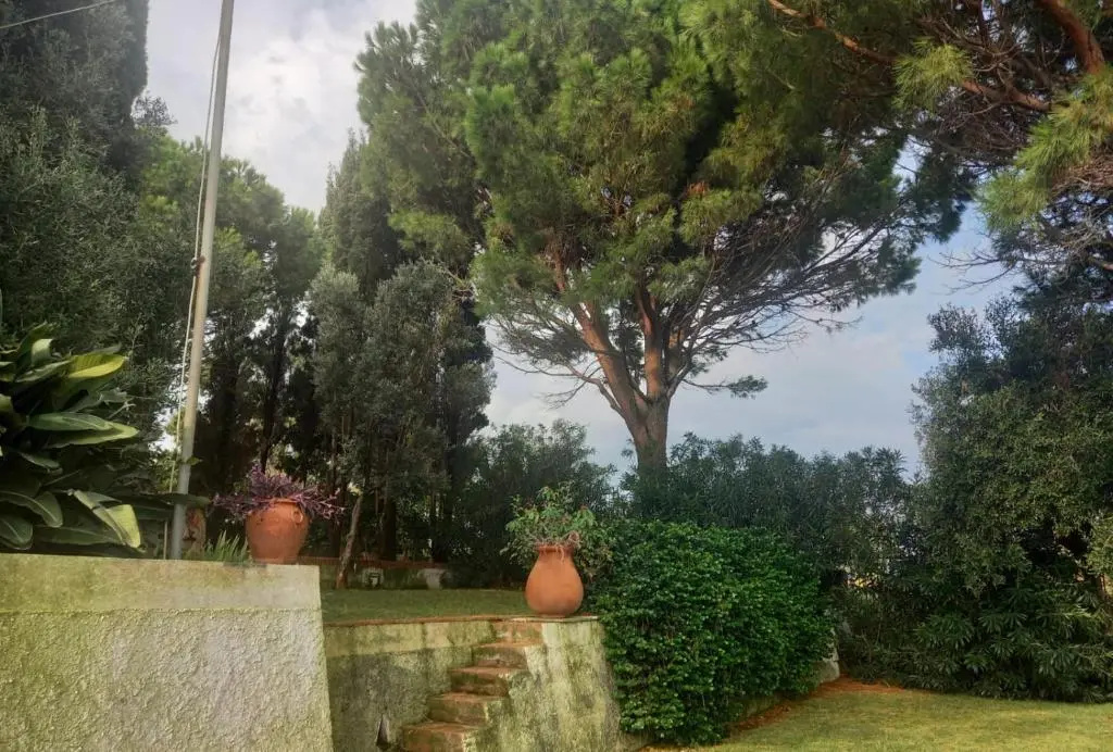 Hotel photo 33