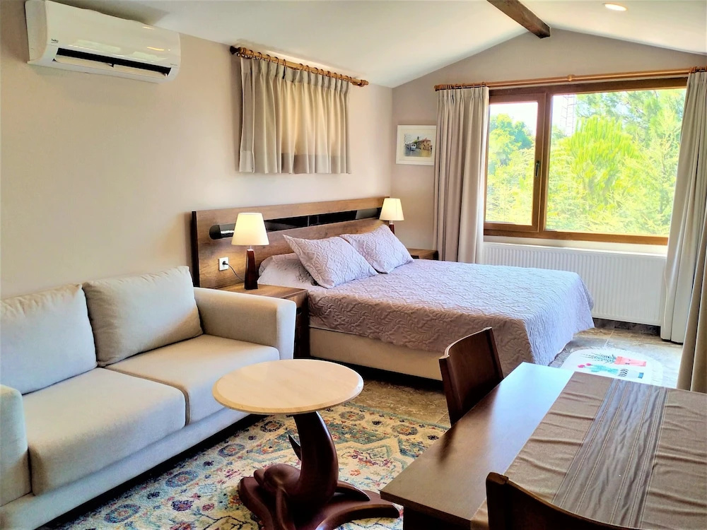 Deluxe Double room with balcony and with garden view (full double bed)