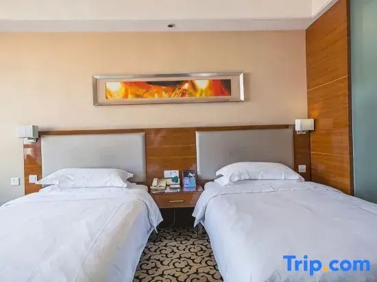 Comfort Double room (twin beds)