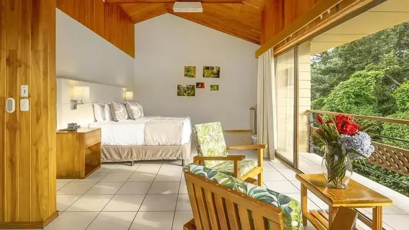 Ficus Sunset Suites - Chambres