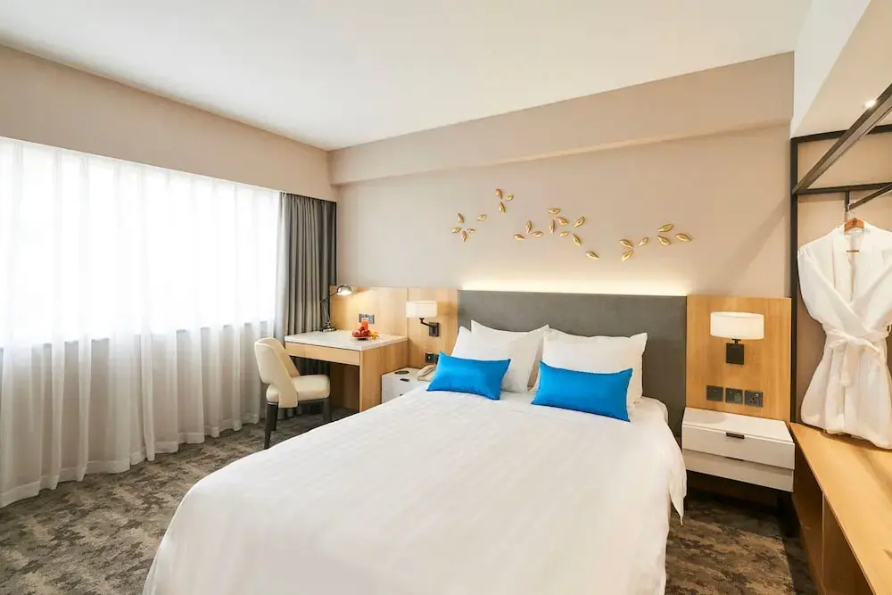 Premium Double room with city view (full double bed)