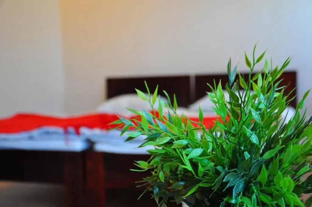 Hotel photo 42