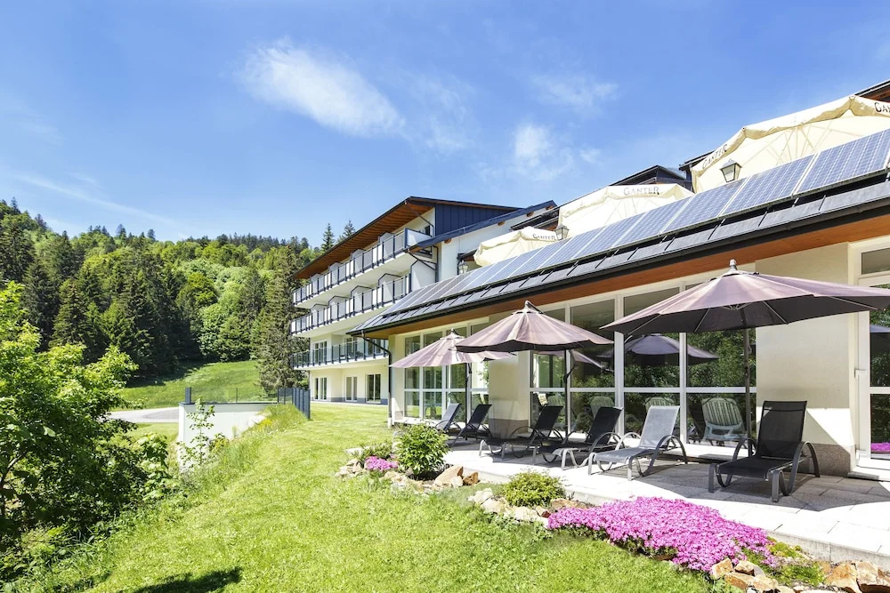 Belchenhotel Jägerstüble - Général