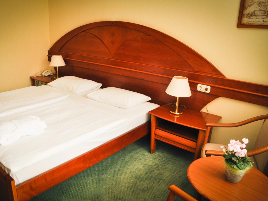 Standard Double room (twin beds)