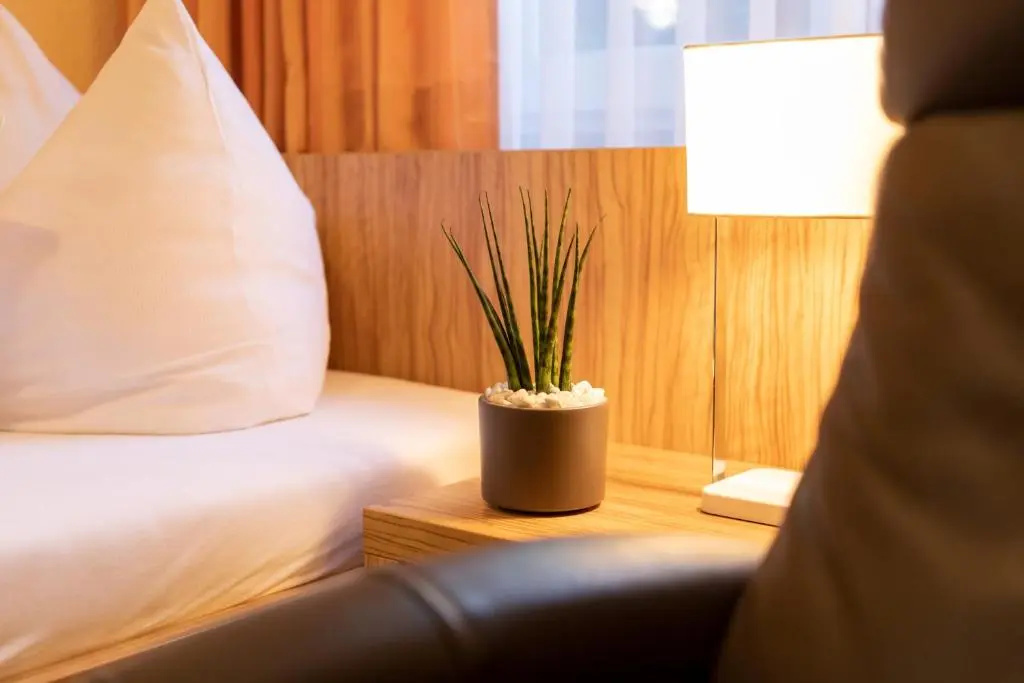 Hotel zum Steinhof - Chambres