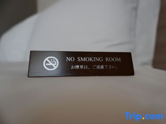 Nippon Seinenkan Hotel 사진 12