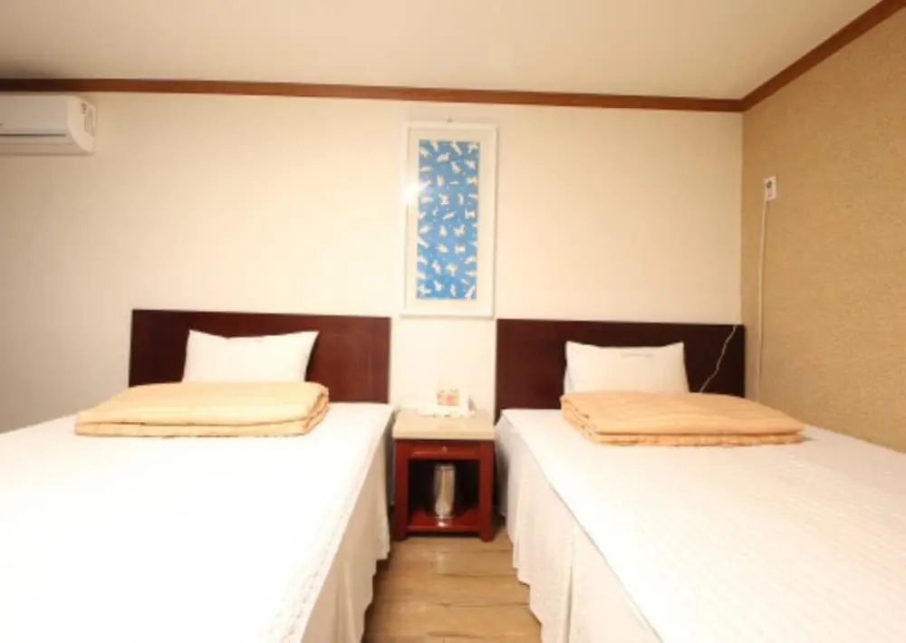Standard Double room (twin beds)