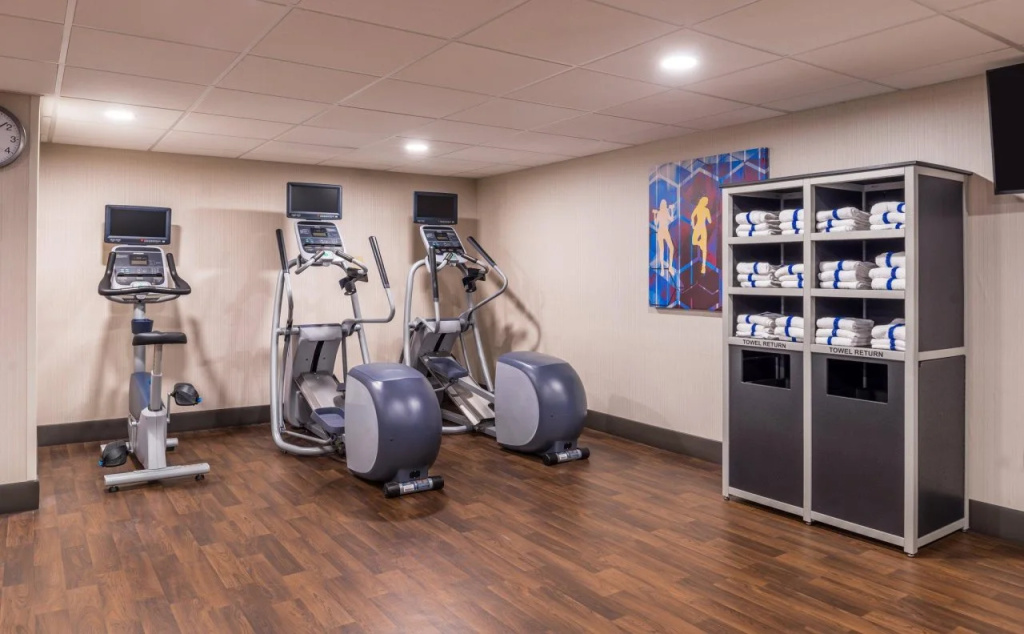 Holiday Inn Auburn-Finger Lakes Region by IHG - Général