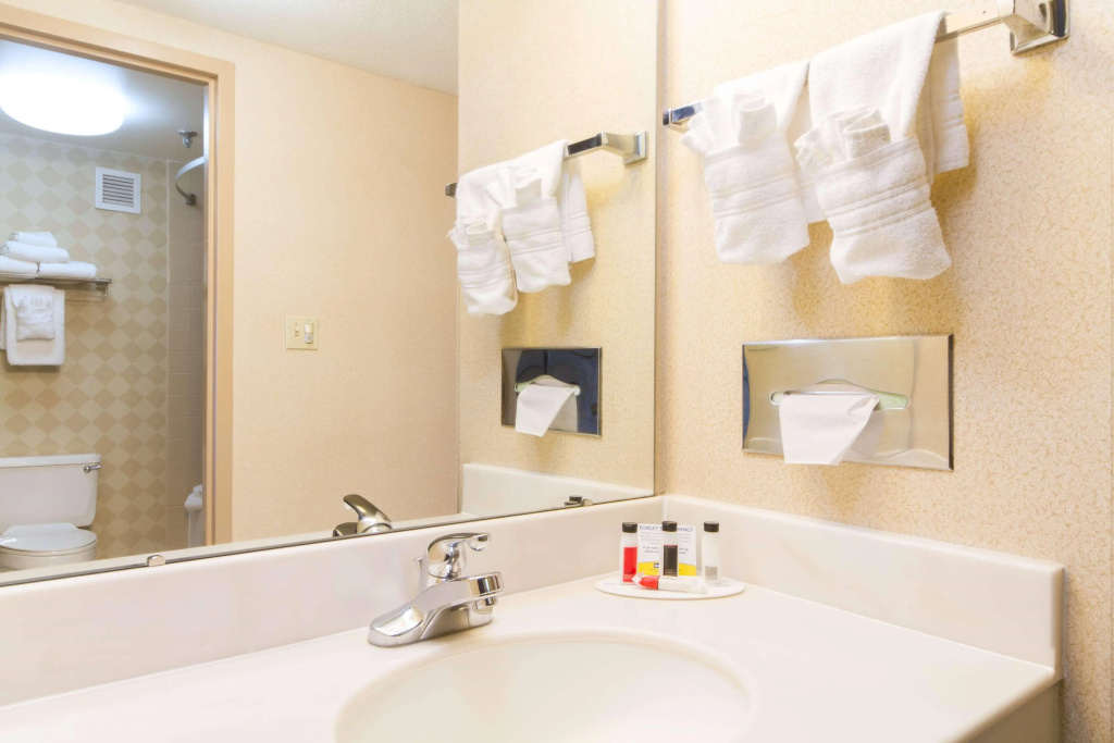 Comfort Inn & Suites Buffalo Airport - Général