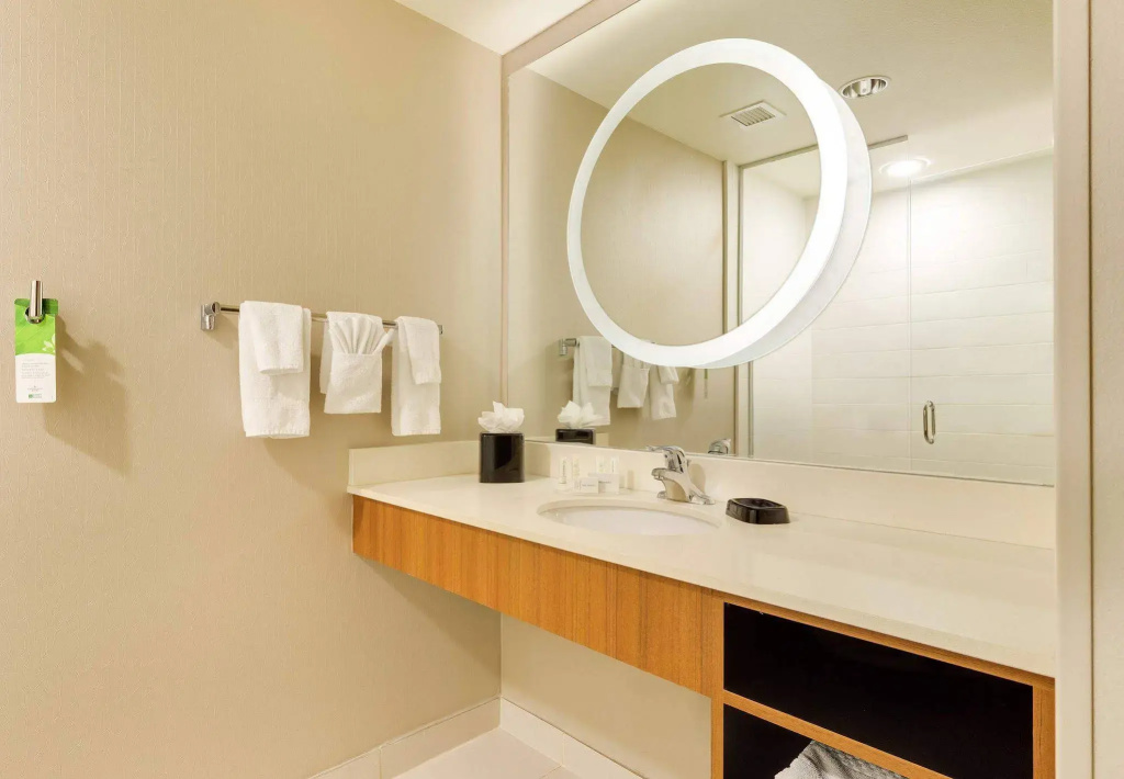 SpringHill Suites by Marriott McAllen Convention Center - Général