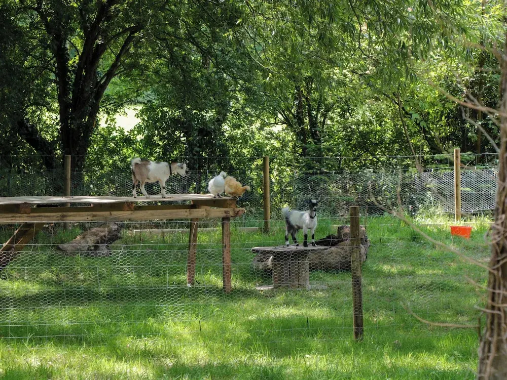 The Foxes Den Shepherds Hut