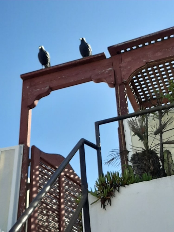 La Villa & Spa