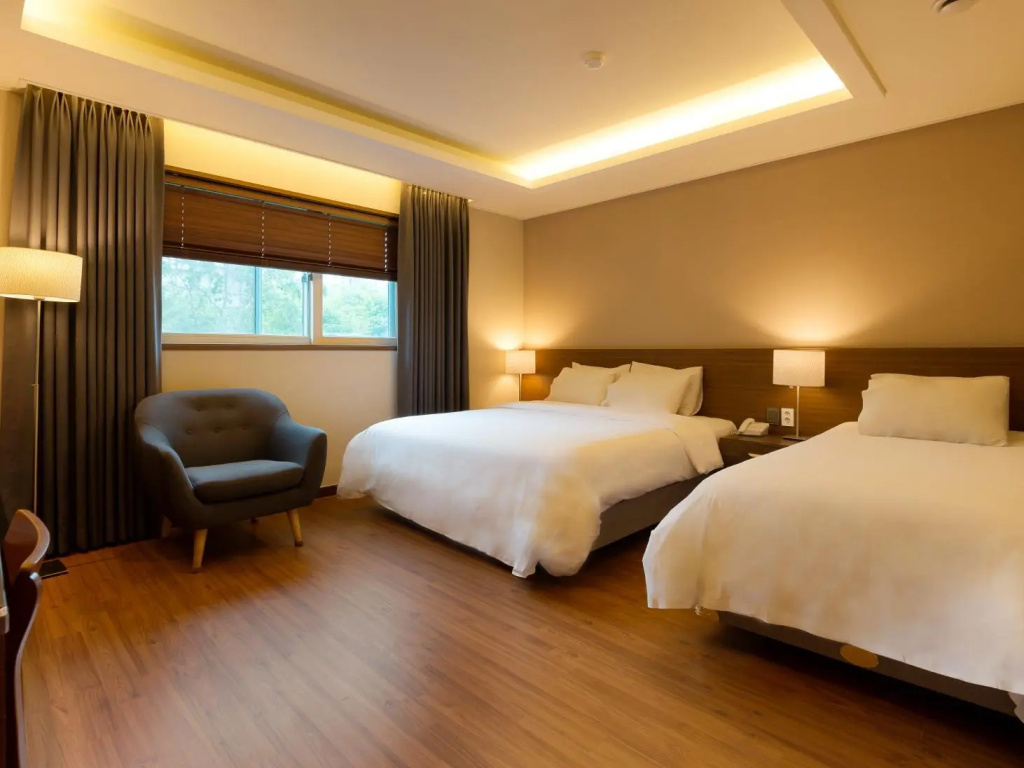 Deluxe Double room (twin beds)