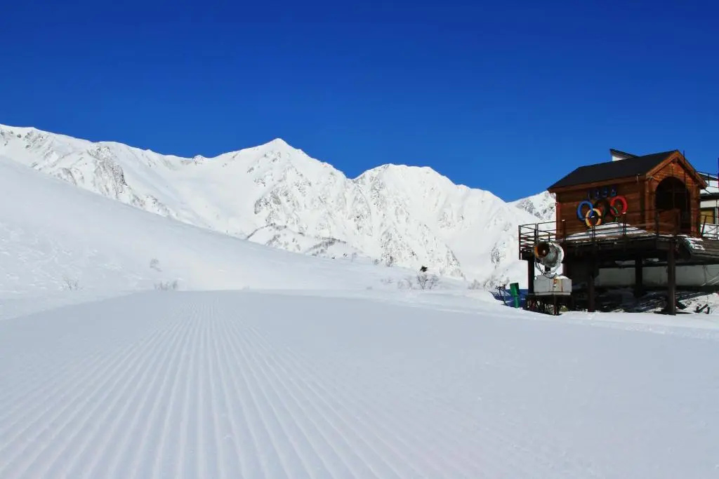 Hakuba Mountain Chalet - Général