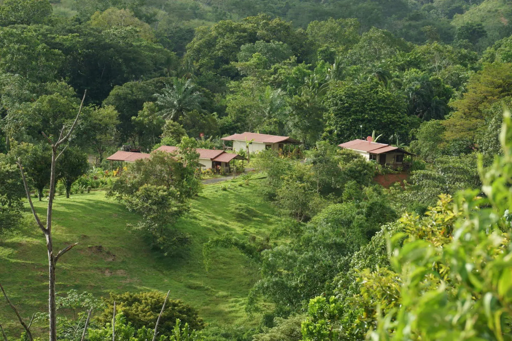 Rancho Las Tilapias - фото 3