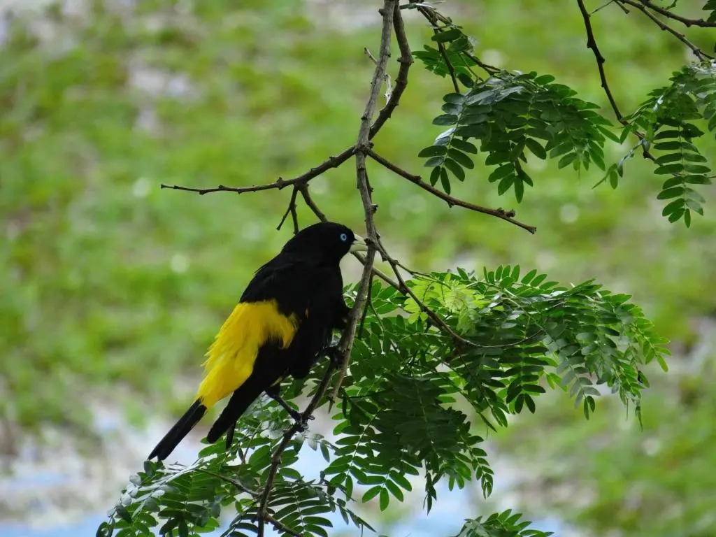 三人房，設有陽台及景觀