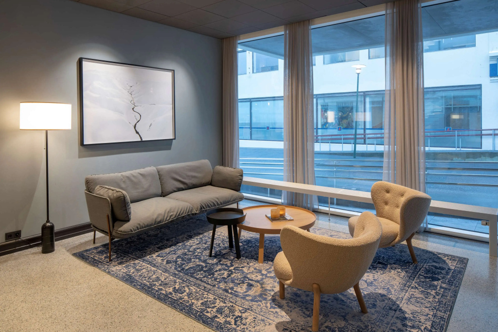 Radisson Blu 1919 Hotel, Reykjavik - Général