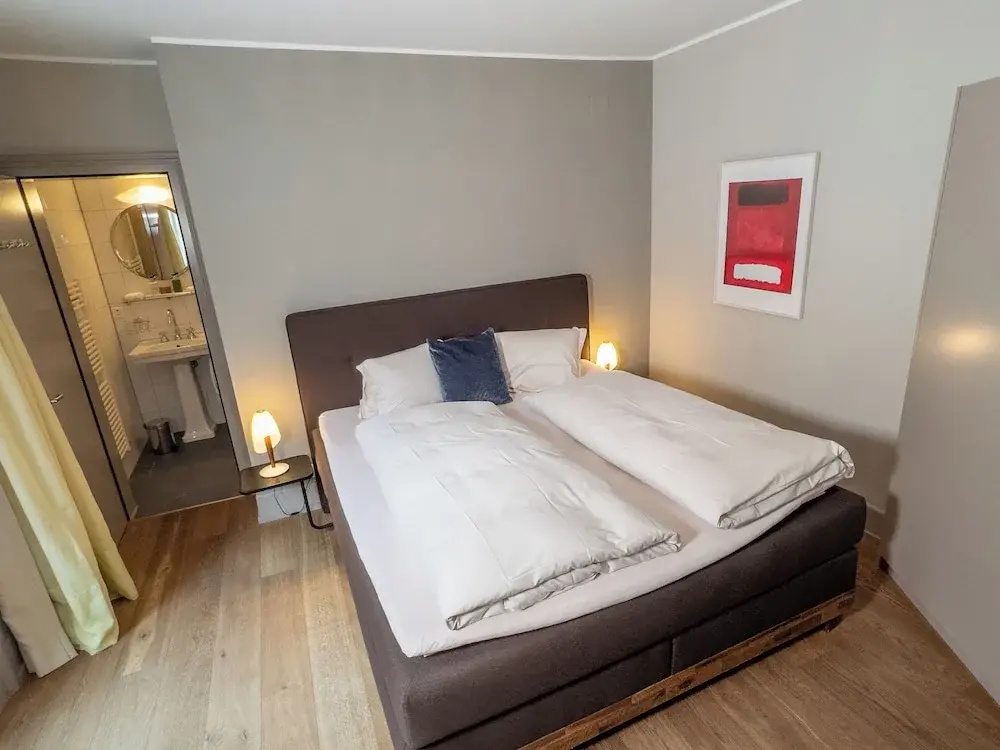 Standard Double room with mountain view (full double bed)