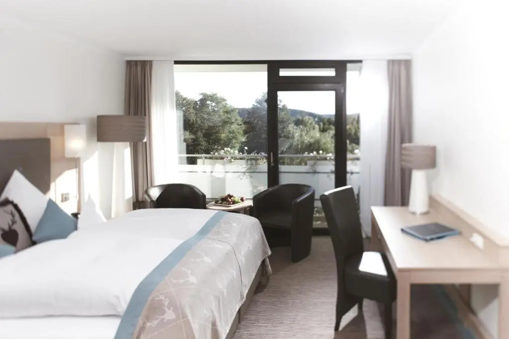 Comfort Double room (full double bed)